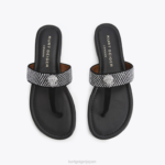 Kurt Geiger 女性 ロンドンケンジントン Tバーサンダル D60X6447 黒 |履物 - Image 3
