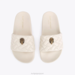 Kurt Geiger 女性 ロンドンミーナイーグル D60X6453 骨 |履物